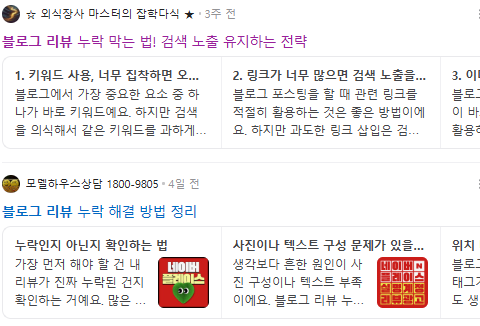 블로그 리뷰 검색결과
