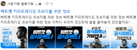 비트겟 검색결과