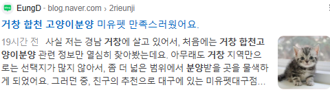 거창 합천고양이분양 검색결과