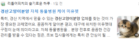 경산고양이분양 검색결과