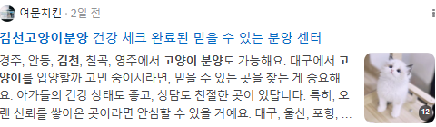 김천고양이분양 검색결과