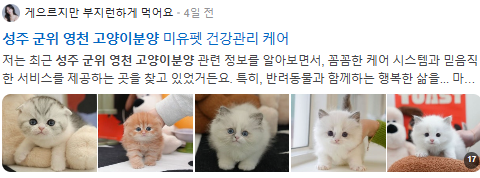 성주 군위 영천 고양이분양 검색결과