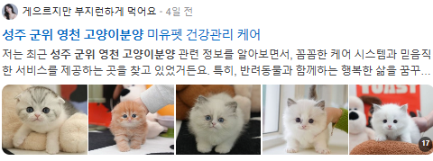 영천 군위 성주 고양이분양 검색결과