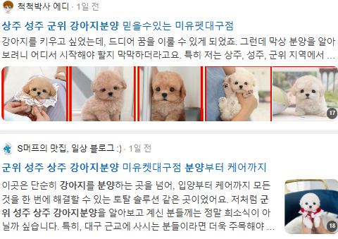 상주 성주 군위 강아지분양 검색결과