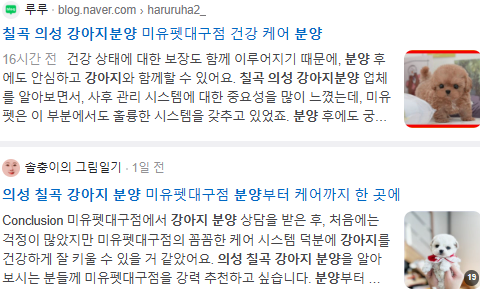 칠곡 의성 강아지분양 검색결과
