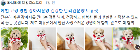 예천 고령 영천 강아지분양 검색결과