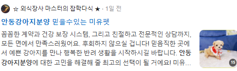 안동강아지분양 검색결과