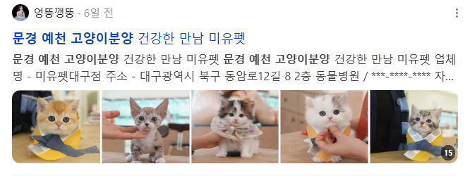 문경 예천 고양이분양 검색결과