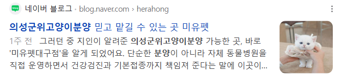 의성 군위 고양이분양 검색결과