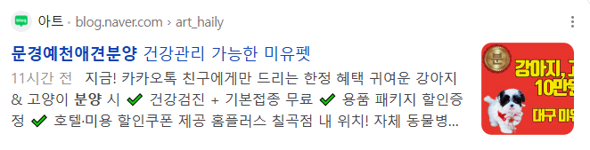 문경예천애견분양 검색결과